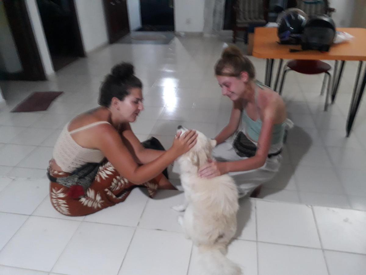 Jungle City Hostel Гале Екстериор снимка
