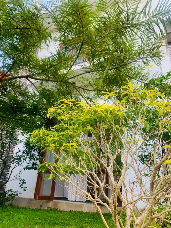 Jungle City Hostel Гале Екстериор снимка