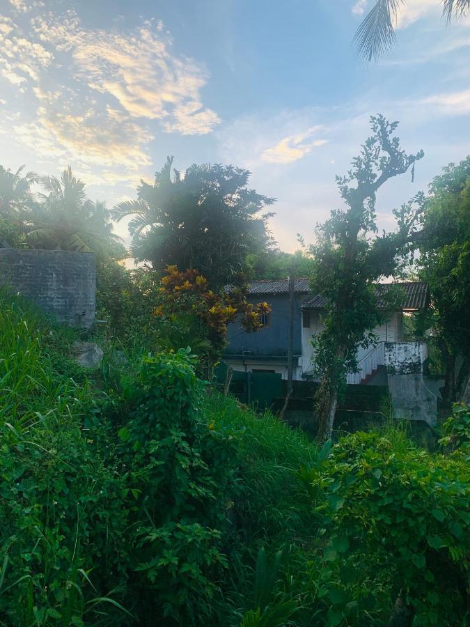 Jungle City Hostel Гале Екстериор снимка