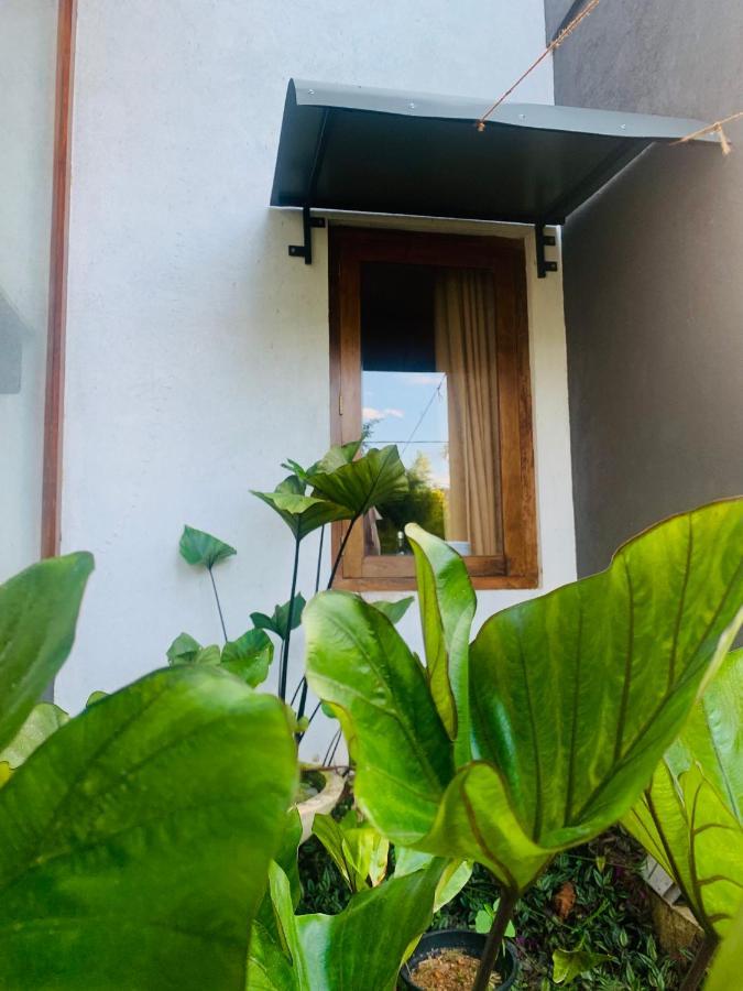 Jungle City Hostel Гале Екстериор снимка